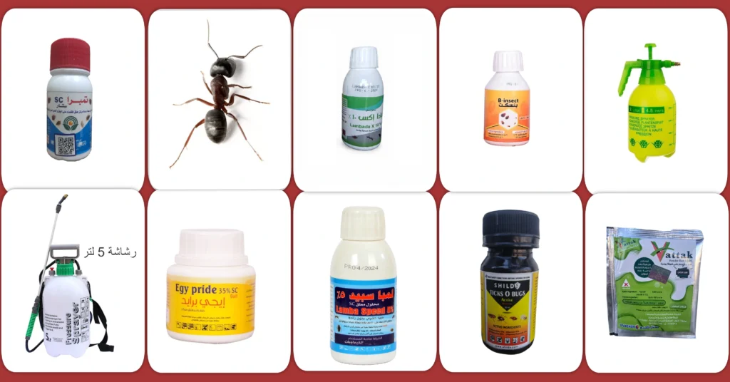 مبيدات النمل المنزليه