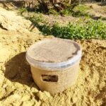 مصيدة سوسة النخيل مع الفرمون | مصائد سوسة النخيل الفرمونيه