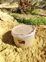 مصيدة سوسة النخيل مع الفرمون | مصائد سوسة النخيل الفرمونيه