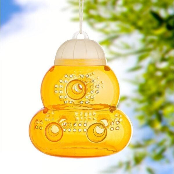 ⁦مصيدة دبابير⁩ - الصورة ⁦5⁩