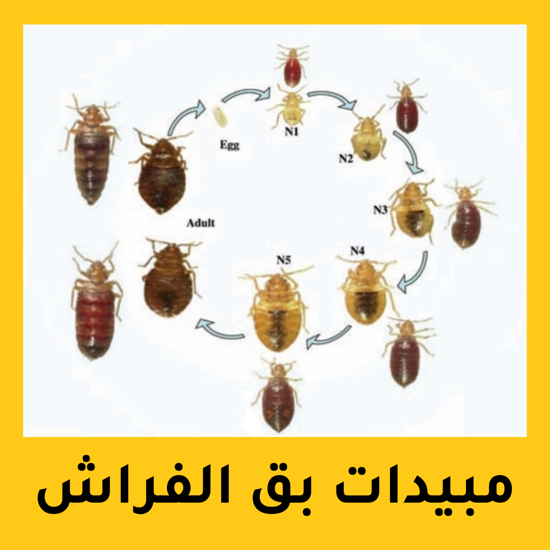 مبيدات بق الفراش