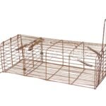 مصيدة عرس مصيدة ابن عرس - weasels trap