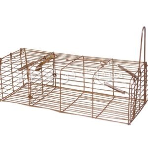 مصيدة العرس مصيدة عرس مصيدة ابن عرس - weasels trap