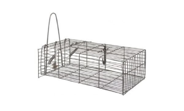 ⁦مصيدة فئران سلك معدنية - Rodents Trap⁩ - الصورة ⁦2⁩