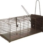 مصيده فئران