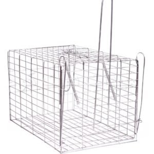 مصيدة القطط