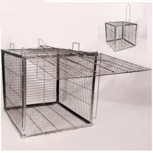 مصيدة كلاب ضاله