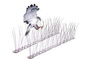طارد الطيور | شوك مانع الطيور مانع وقوف الطيور على الأسطح Bird Spike repellents