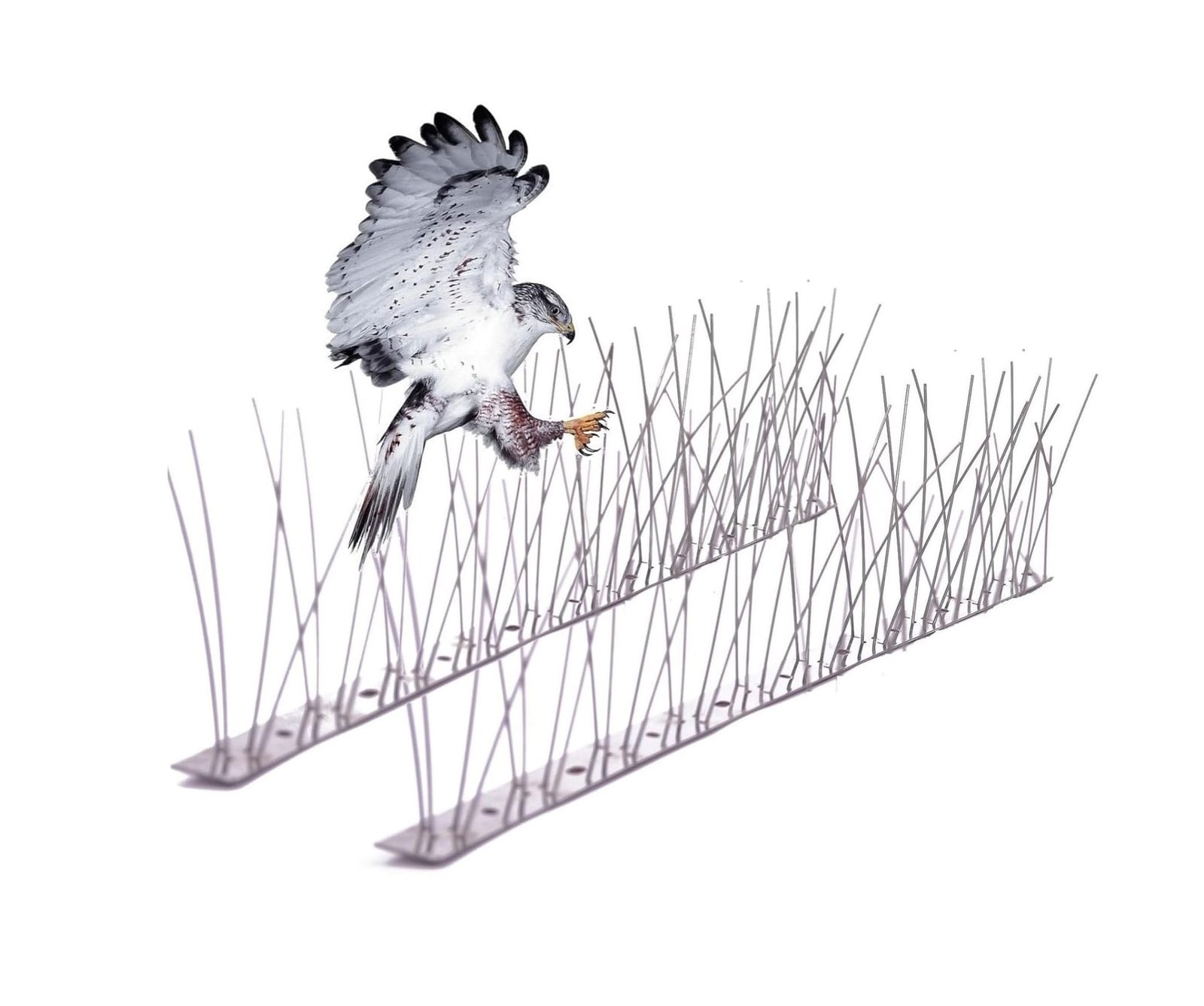 طارد-الطيور-شوك-مانع-الطيور-مانع-وقوف-الطيور-على-الأسطح-Bird-Spike-repellents.jpg طارد الطيور | شوك مانع الطيور مانع وقوف الطيور على الأسطح Bird Spike repellents - الصورة 1