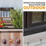 ⁦شوك طارد الطيور 4 قطع Bird Repellent⁩ - الصورة ⁦8⁩