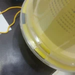 ⁦مصيدة ذباب بيولوجيه عالية الجوده عدد 5 مصايد⁩ - الصورة ⁦2⁩