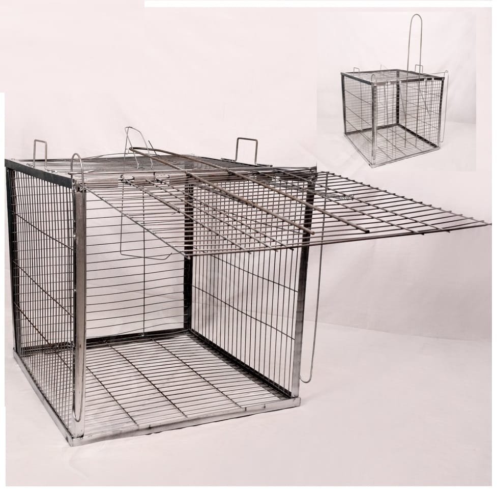 مصيدة-كلاب-ضالة-1.jpg مصيدة كلاب ضالة - مصيدة لنقل الكلاب المتوحشه - الصورة 1